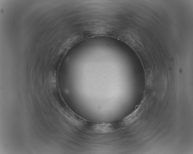 X0000068850179200605081224