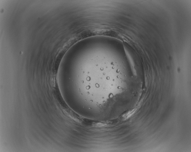 X0000068850180200605081224