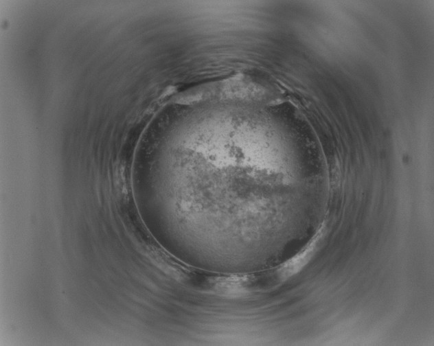 X0000068850182200605081224