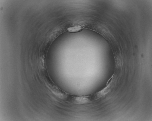 X0000068850183200605081224