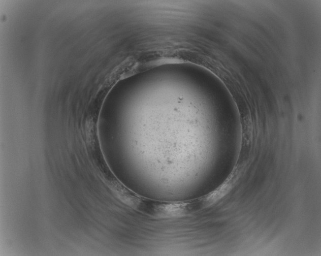 X0000068850184200605081224