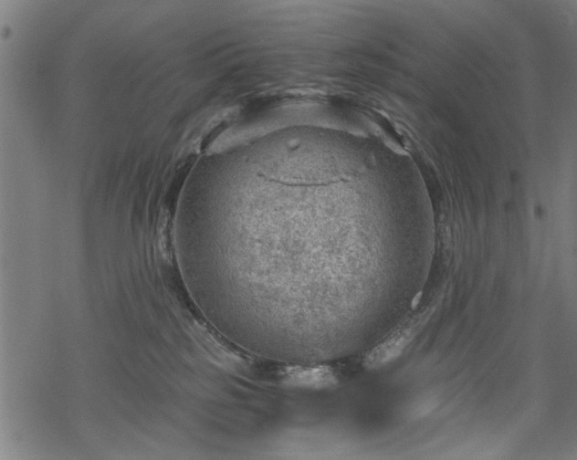 X0000068850185200605081224