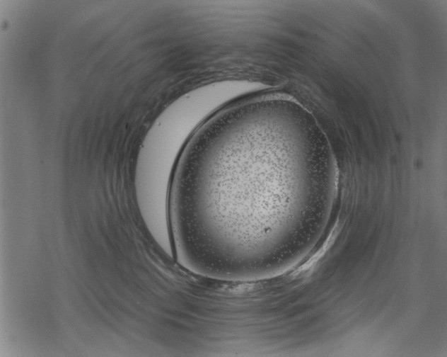 X0000068850186200605081224