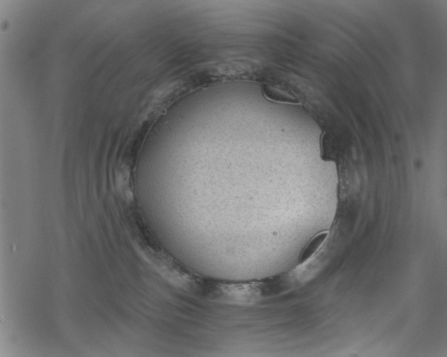 X0000068850187200605081224