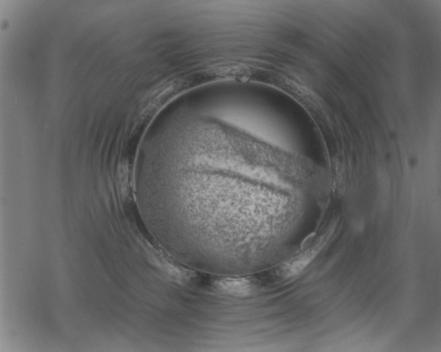 X0000068850189200605081224