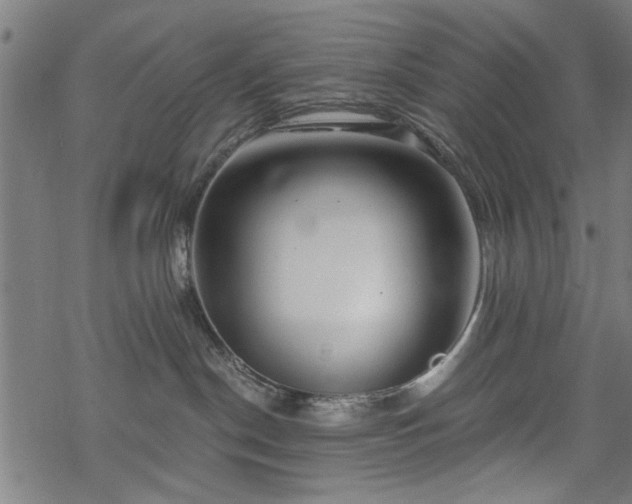 X0000068850190200605081224