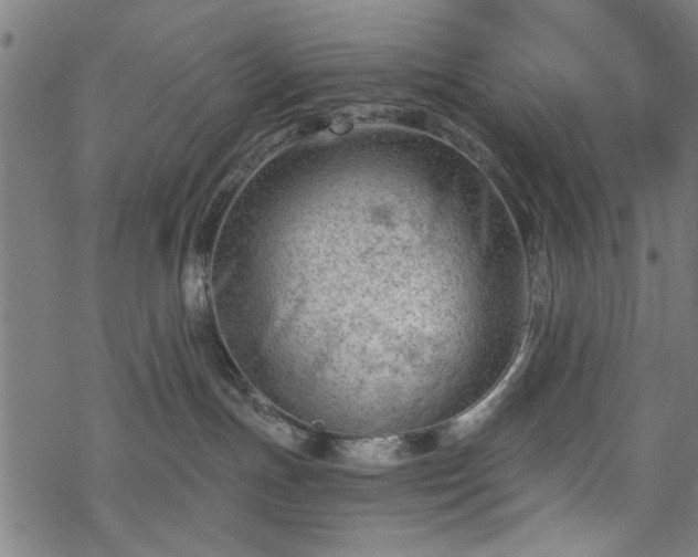 X0000068850191200605081224