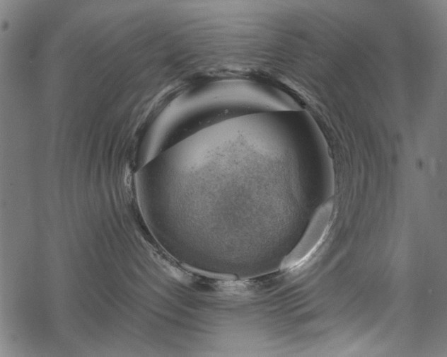 X0000068850192200605081224