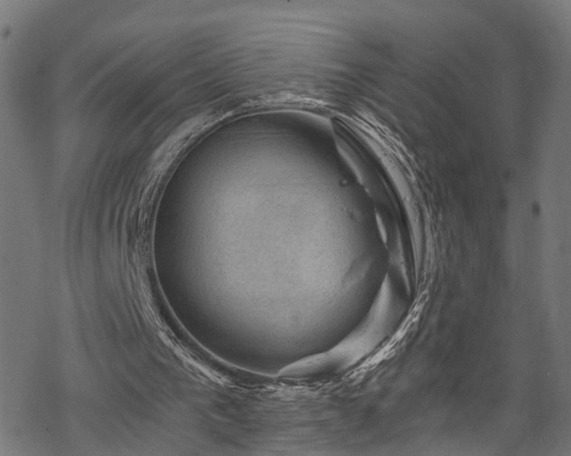 X0000068850193200605081224