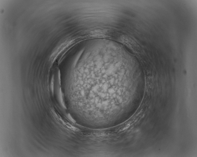 X0000068850194200605081224