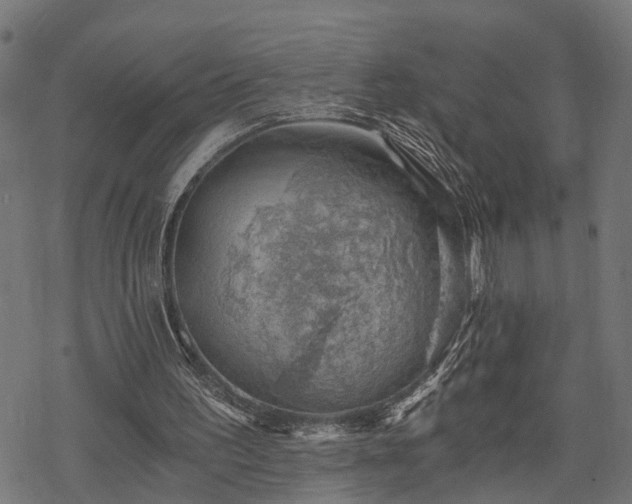 X0000068850195200605081223