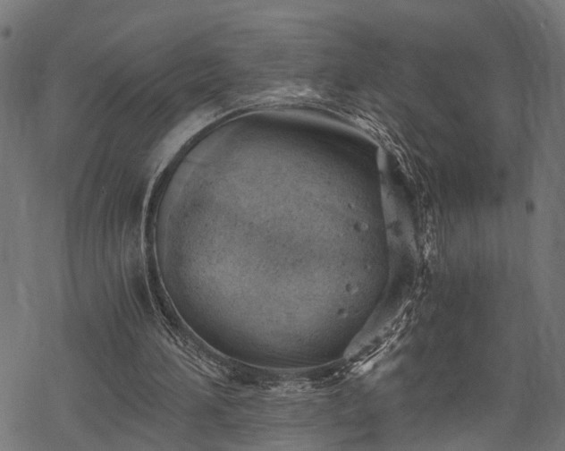 X0000068850196200605081223