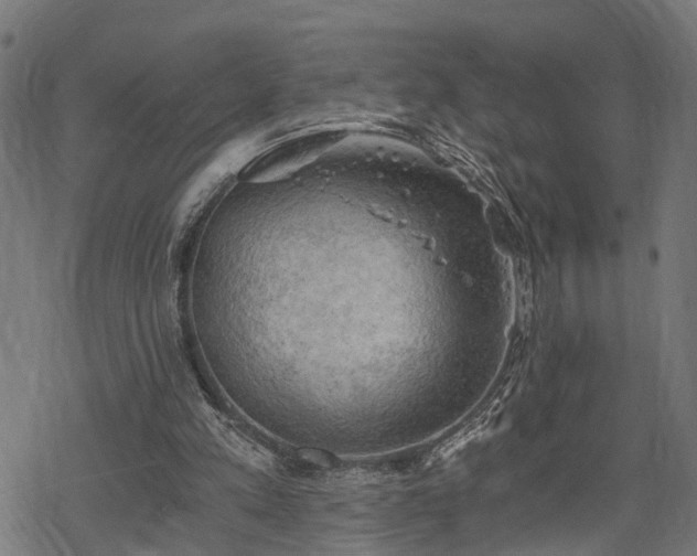 X0000068850197200605081223