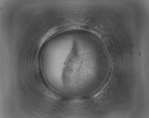 X0000068850198200605081223