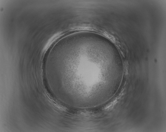 X0000068850199200605081223