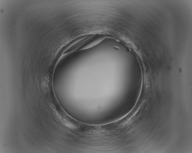 X0000068850201200605081223