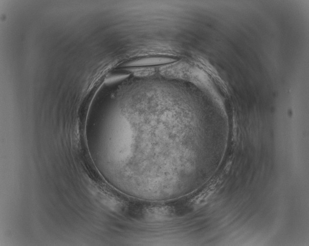 X0000068850202200605081223