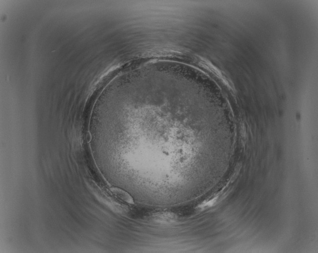 X0000068850203200605081223