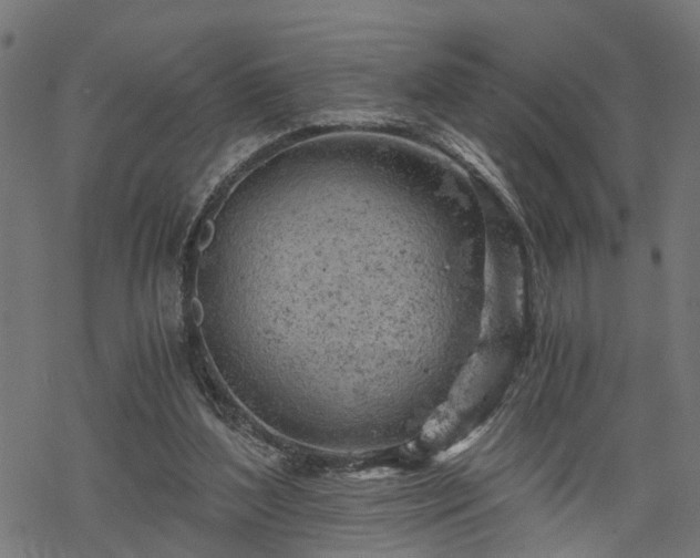 X0000068850204200605081223