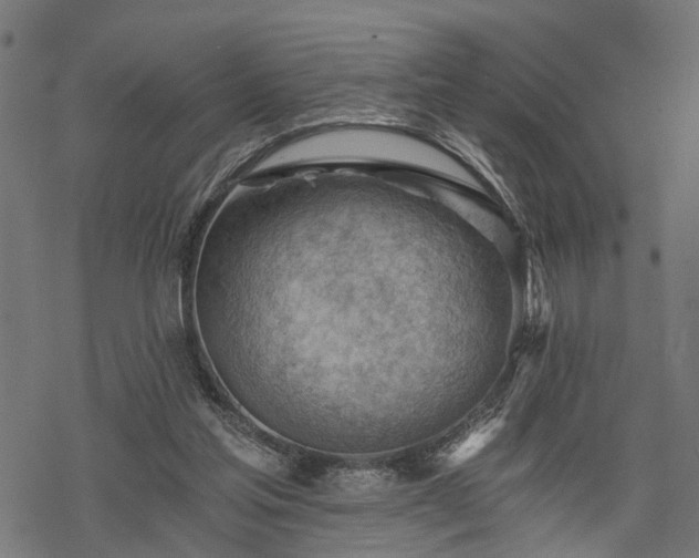 X0000068850205200605081223