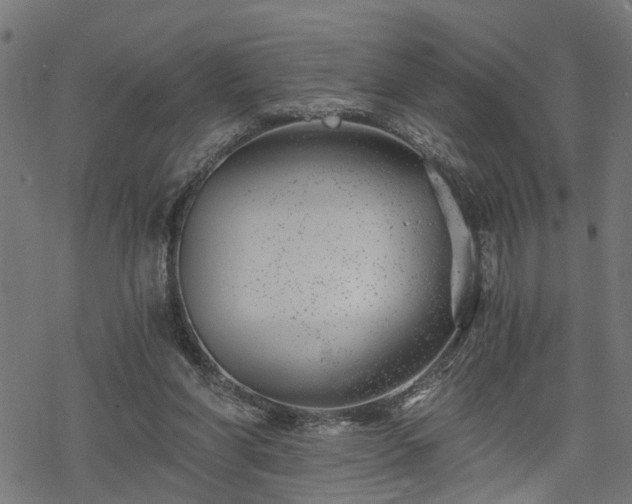 X0000068850206200605081223