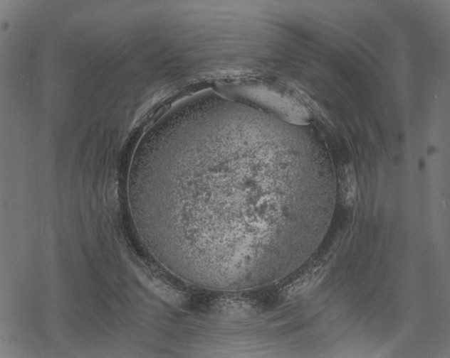 X0000068850207200605081223