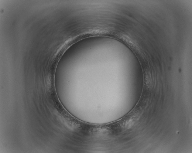 X0000068850208200605081223