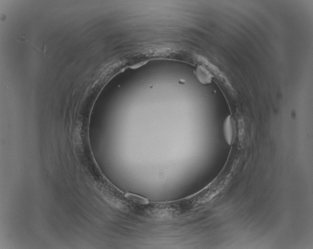 X0000068850209200605081223