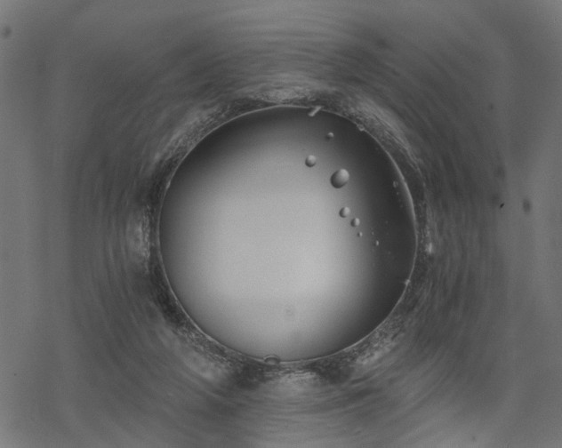 X0000068850210200605081223