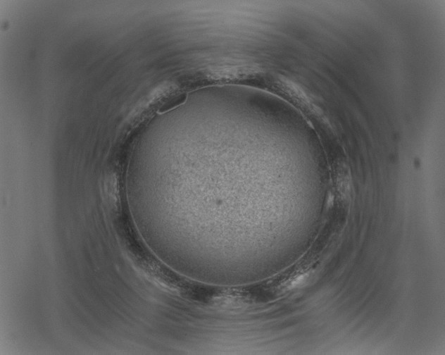 X0000068850211200605081223