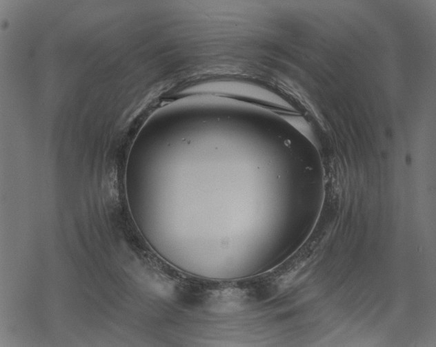 X0000068850212200605081223