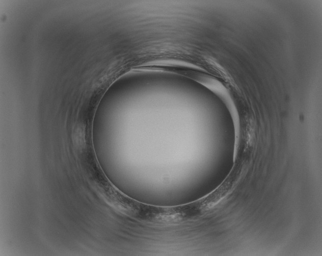 X0000068850213200605081223