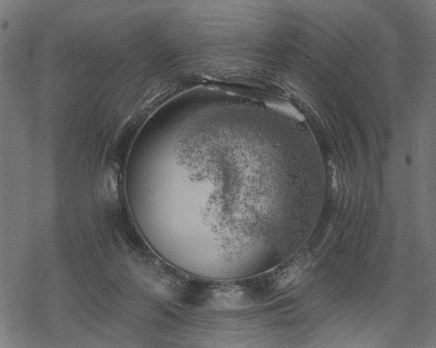 X0000068850214200605081223