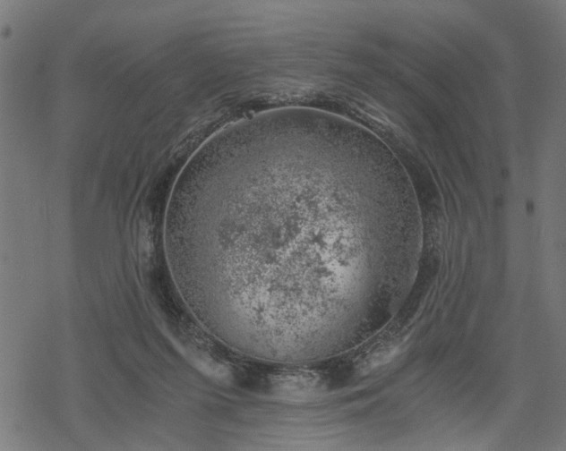 X0000068850215200605081223