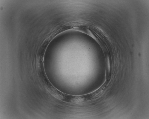 X0000068850217200605081223