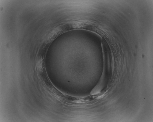 X0000068850219200605081223