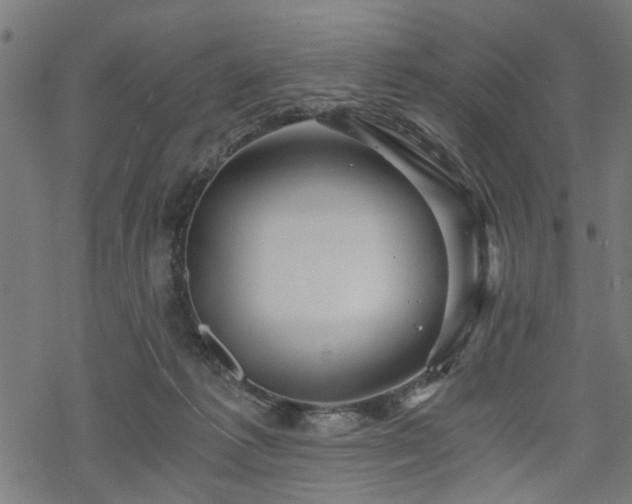 X0000068850221200605081223