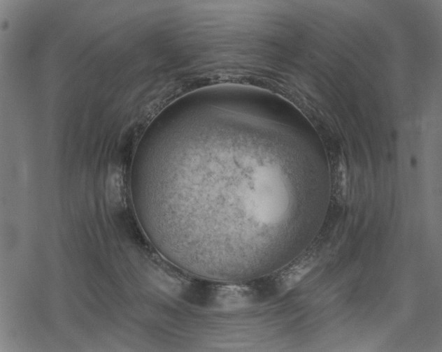 X0000068850222200605081223