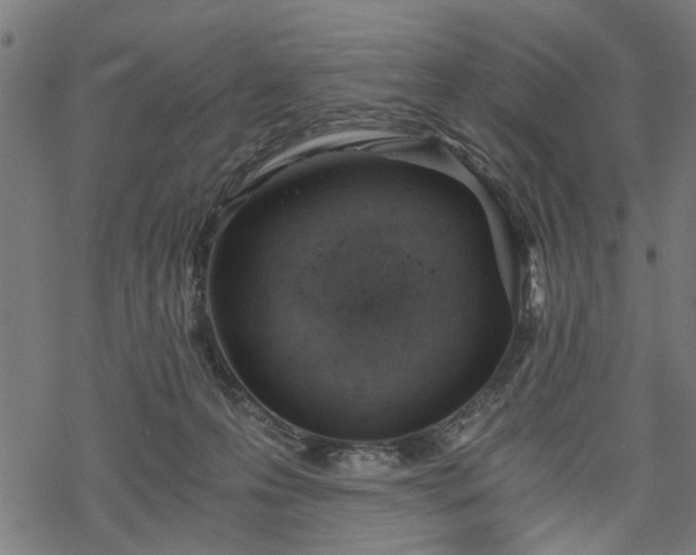 X0000068850223200605081223