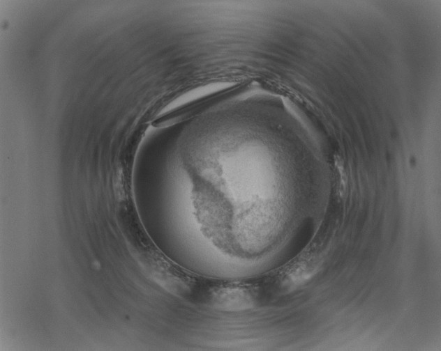 X0000068850224200605081223