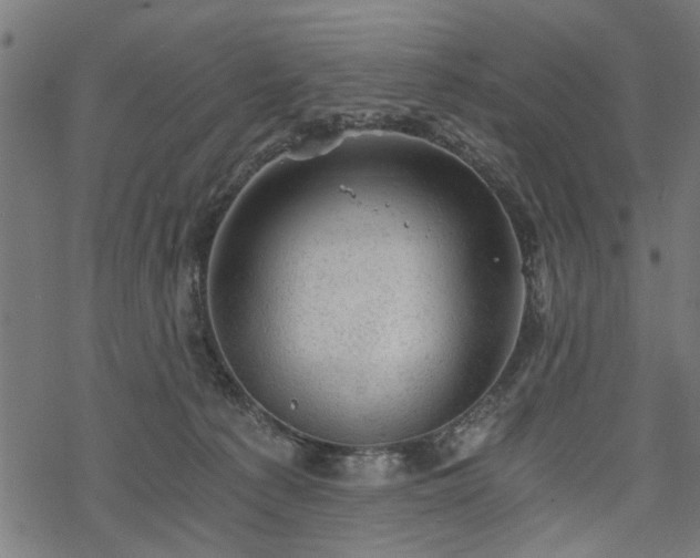 X0000068850225200605081223