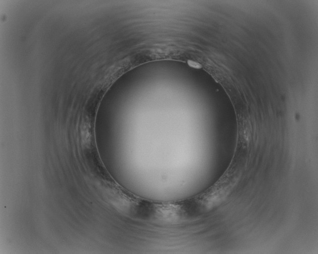 X0000068850226200605081223