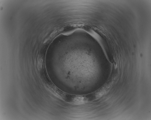 X0000068850227200605081223