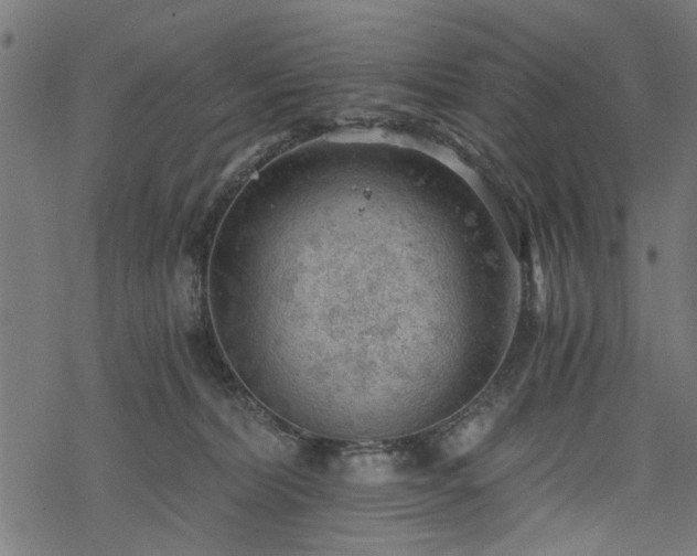 X0000068850228200605081223