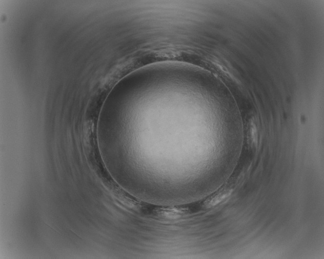 X0000068850229200605081223