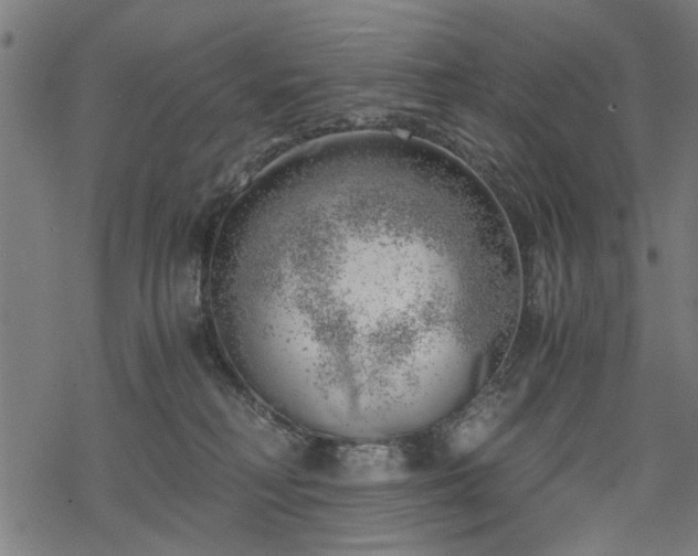 X0000068850230200605081223