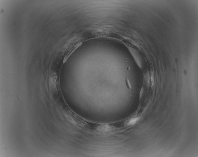 X0000068850231200605081223