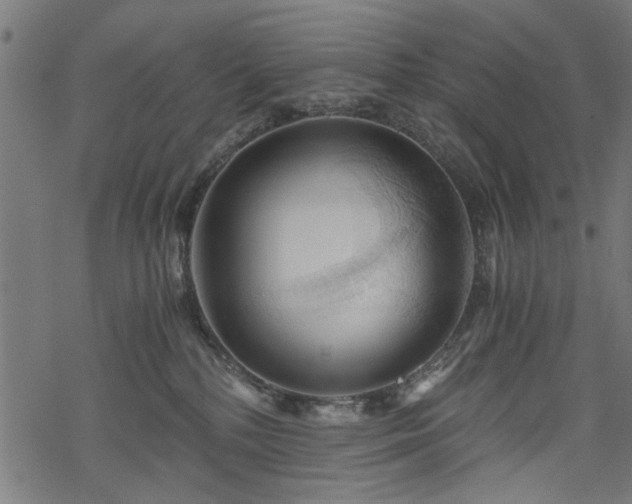 X0000068850232200605081223