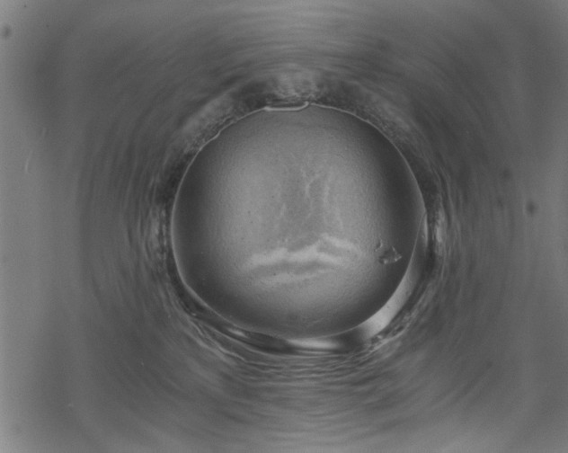 X0000068850233200605081223