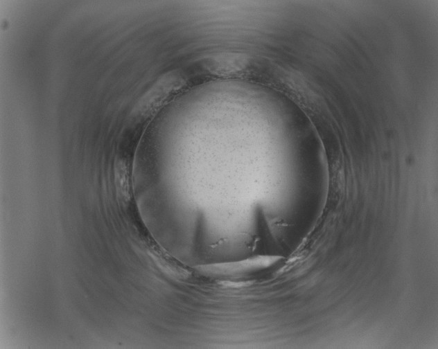 X0000068850234200605081223